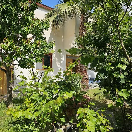 Peza Garden House Holiday home